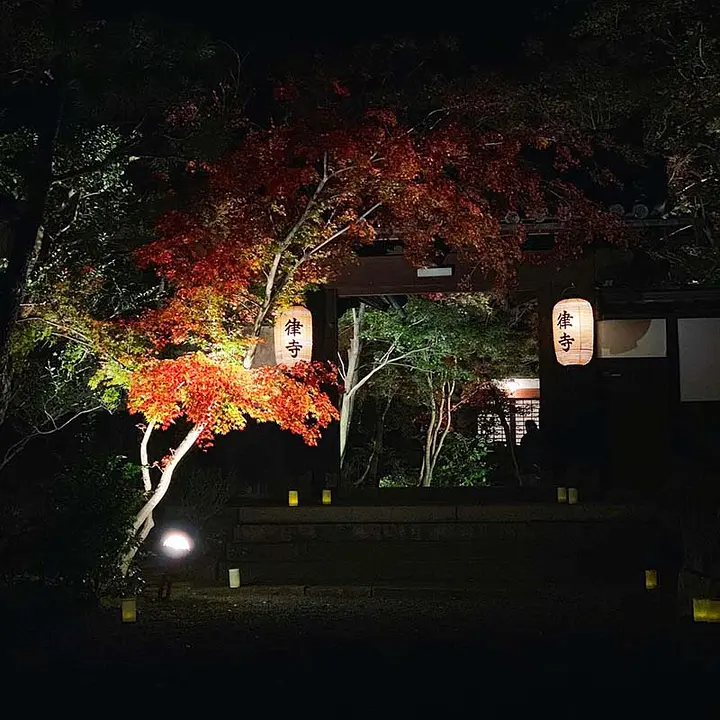 善法律寺 秋の紅葉ライトアップ