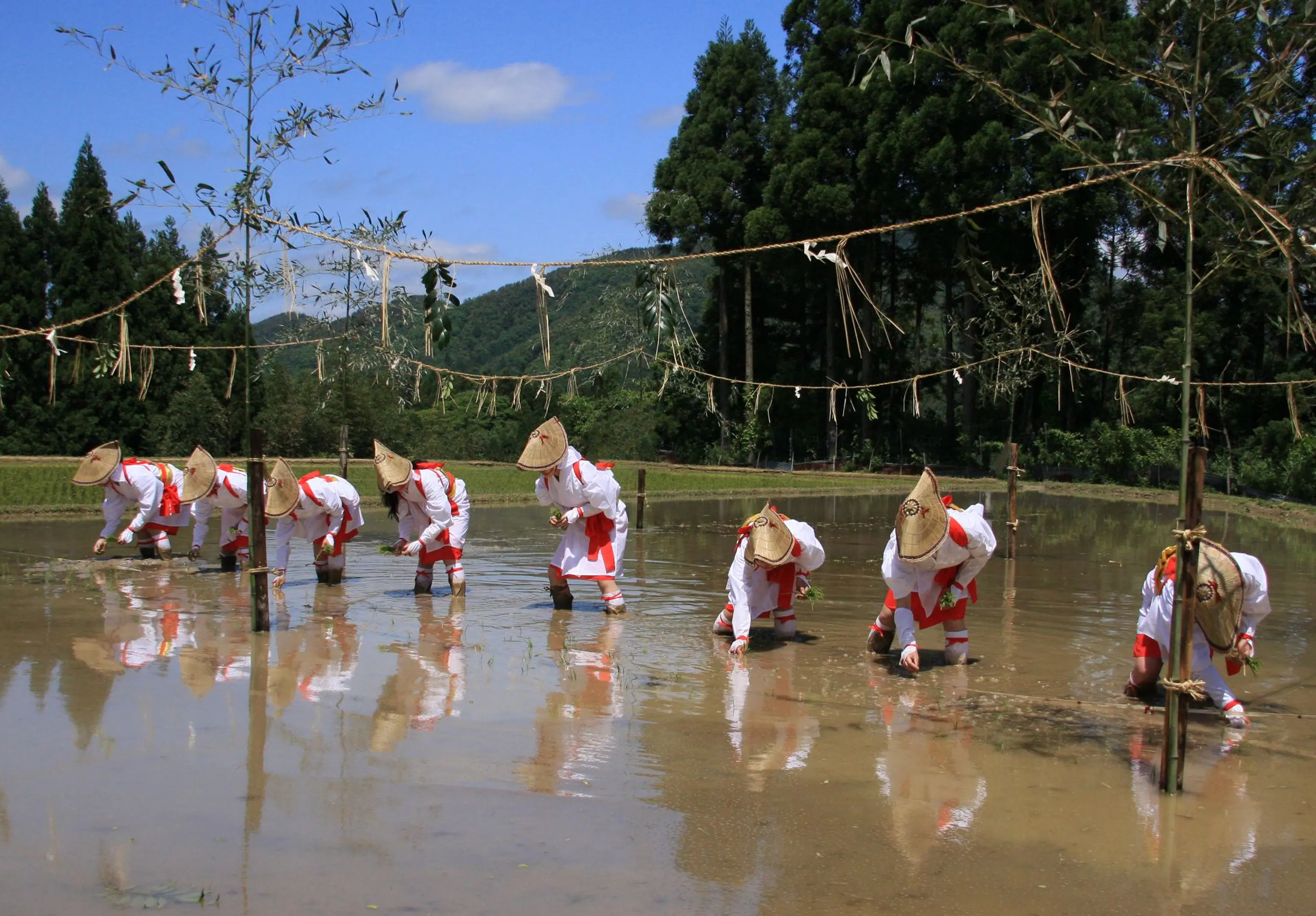 八坂神社御田祭.JPG