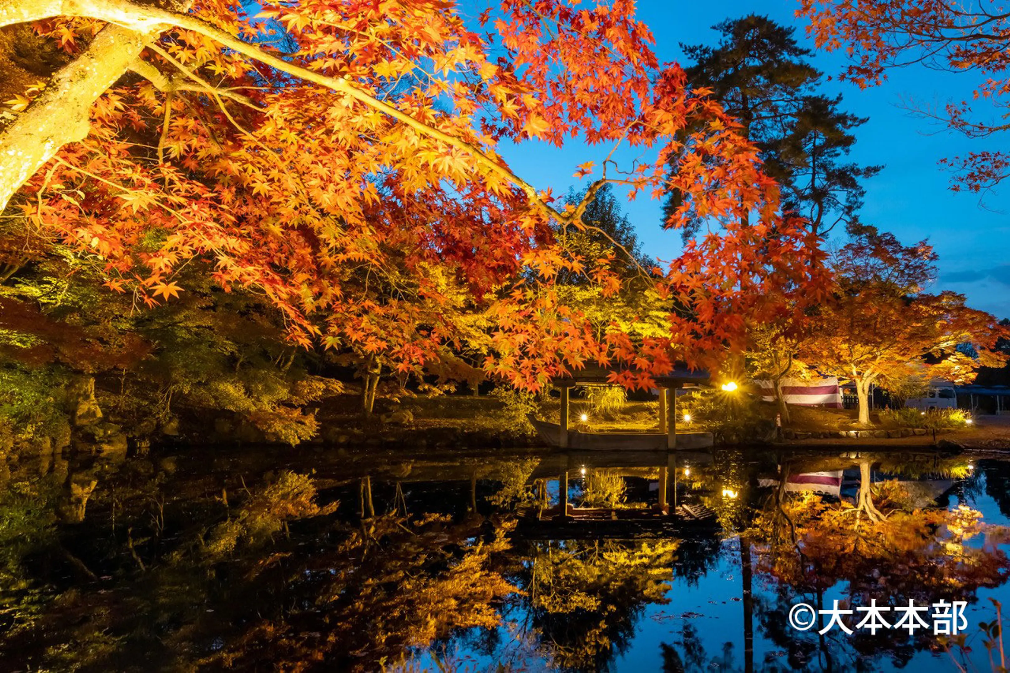 【大本(綾部・梅松苑)】紅葉