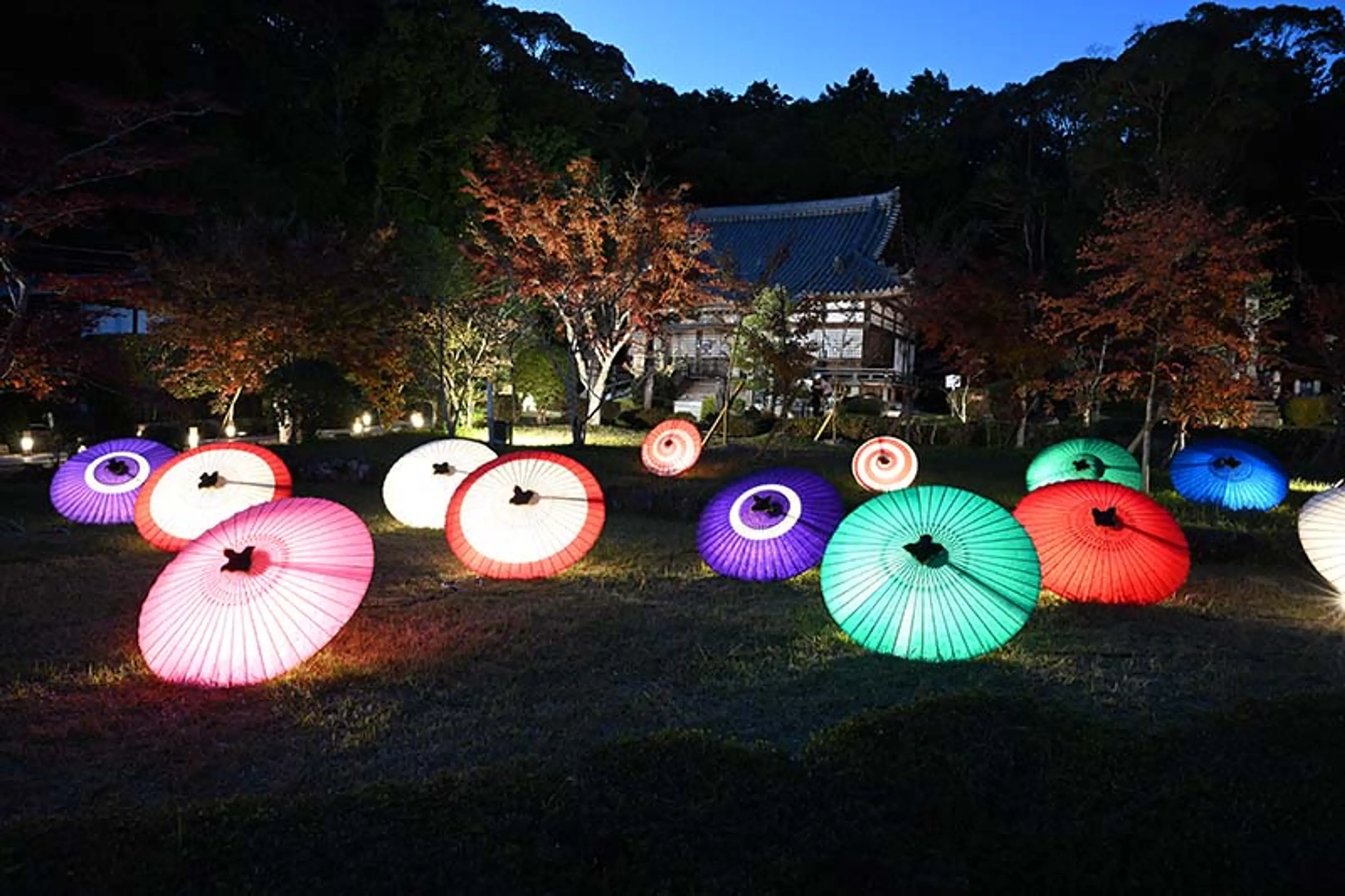 大御堂観音寺ライトアップ・夜間特別拝観