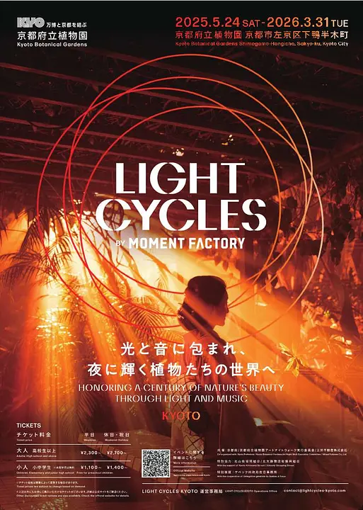 LIGHT CYCLES