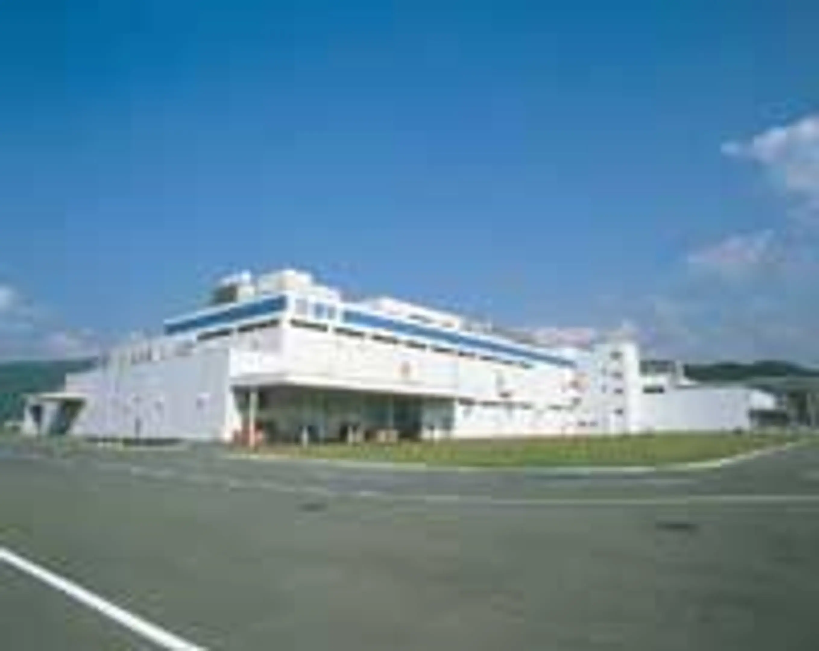 619.jpg