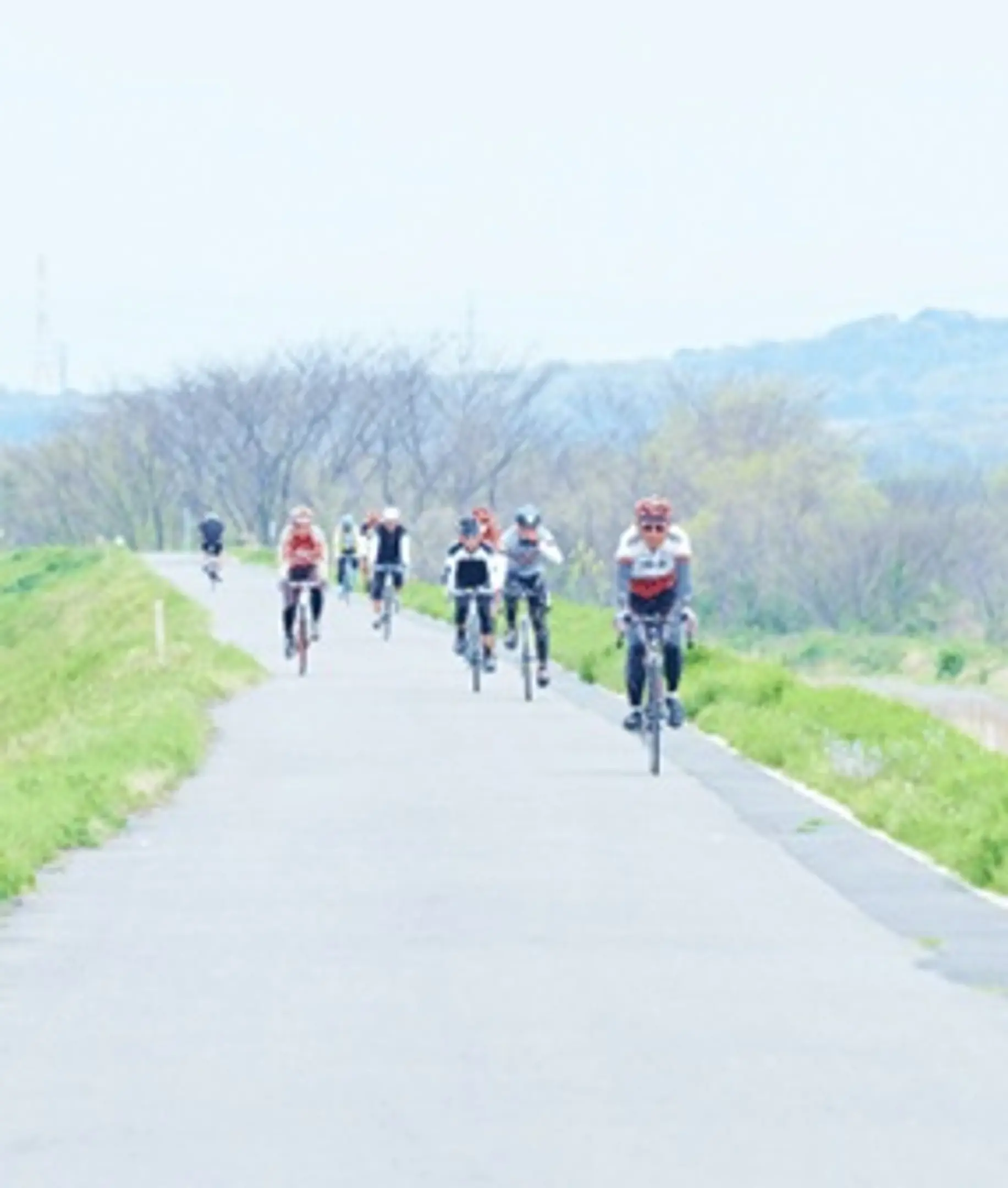 風薫る川辺の道　～木津から流れ橋へ、歴史と自然をめぐる自転車紀行～