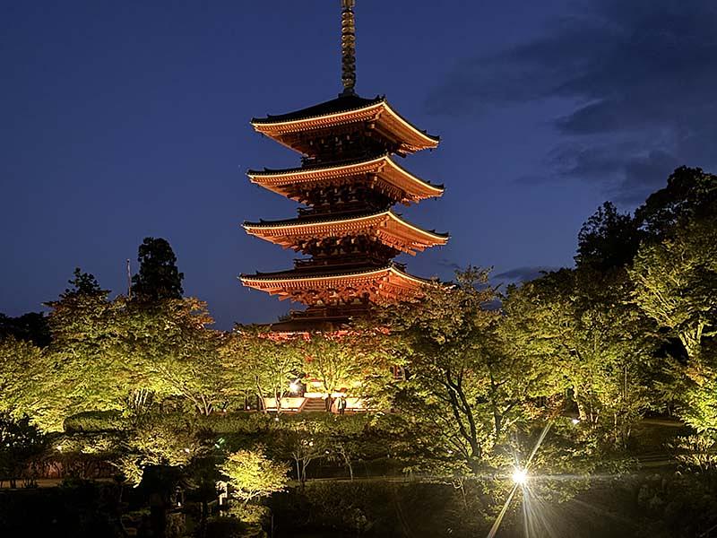 「京都　朝・夜観光」推進事業