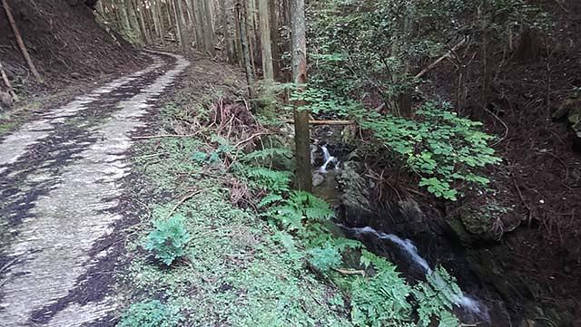 県道から源流まで