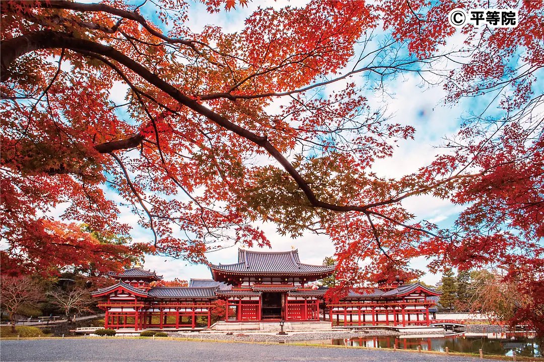©平等院【AU-2】紅葉と鳳凰堂正面.png