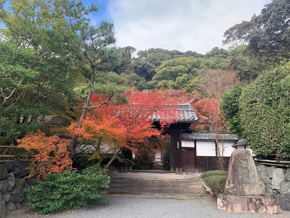 善法律寺(紅葉寺)の紅葉