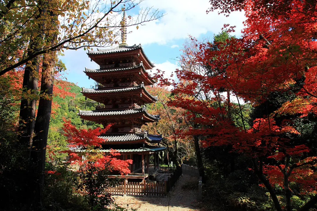 海住山寺の紅葉