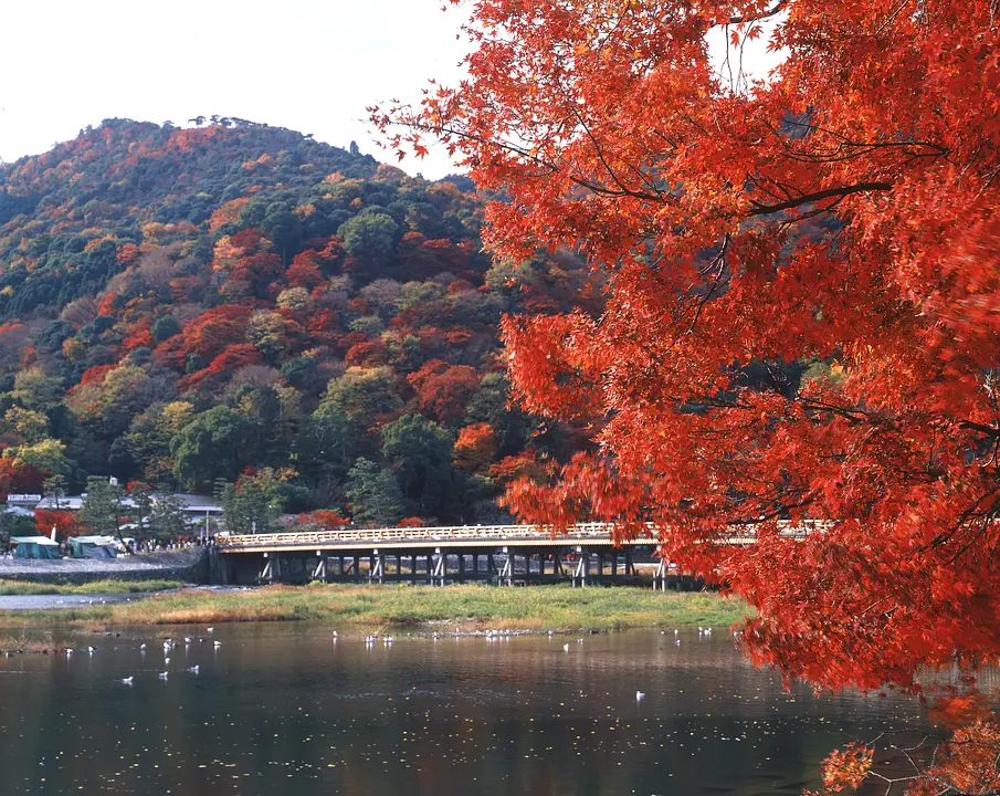 渡月橋 紅葉.jpg