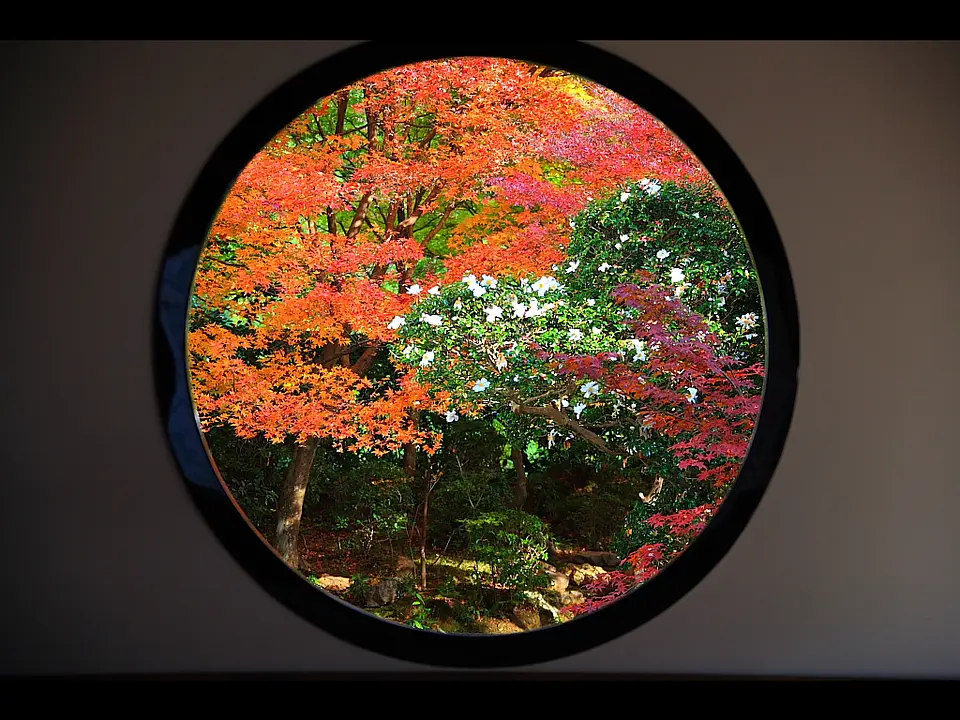 9493 源光庵(悟りの窓).jpg