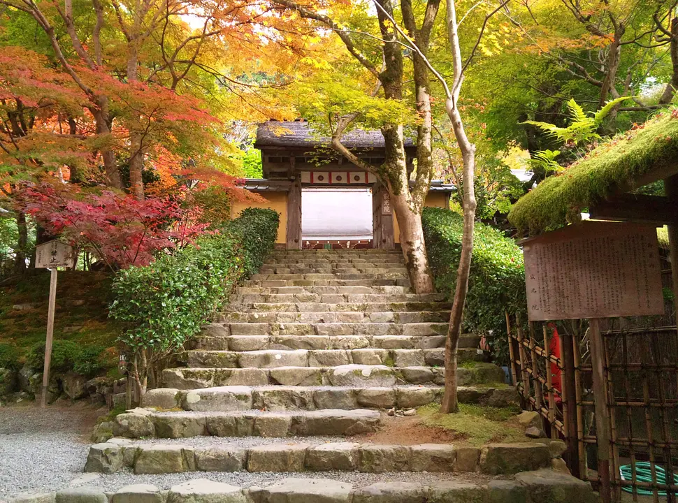 【寂光院】紅葉