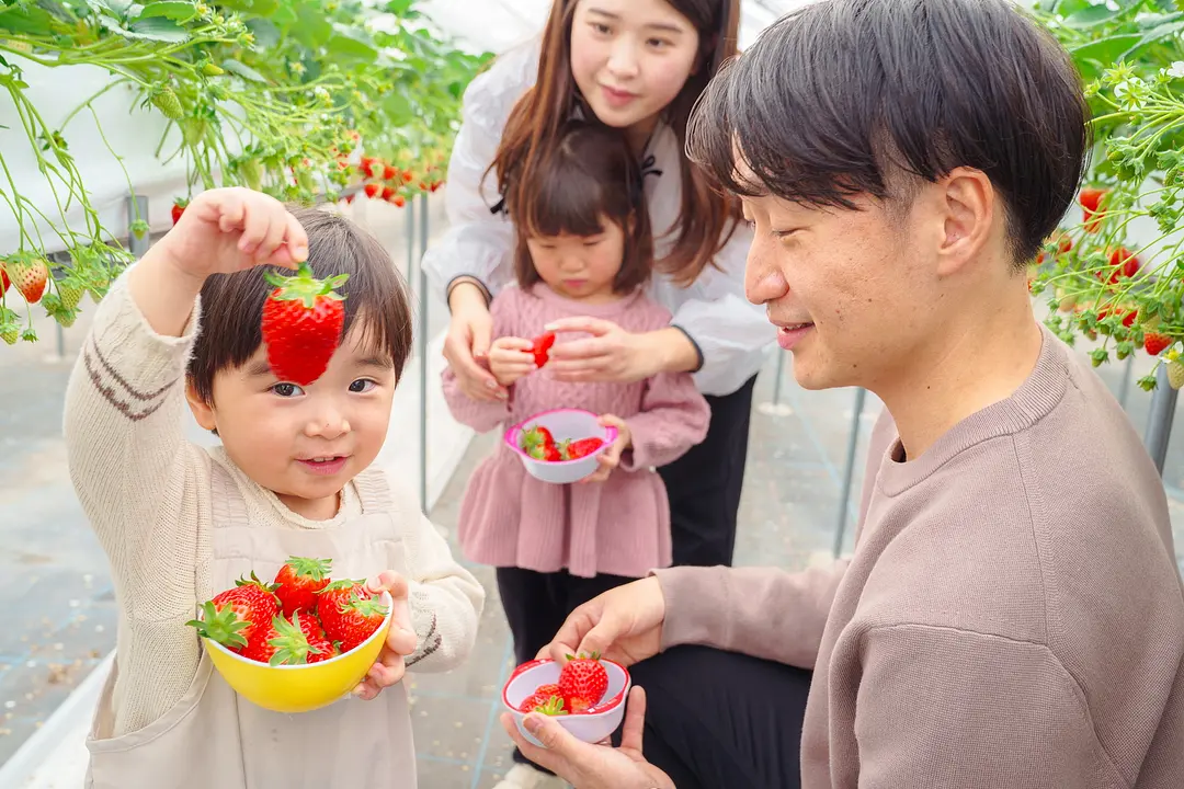 華やぎ1（モデル使用の写真のため使用OK）.jpg