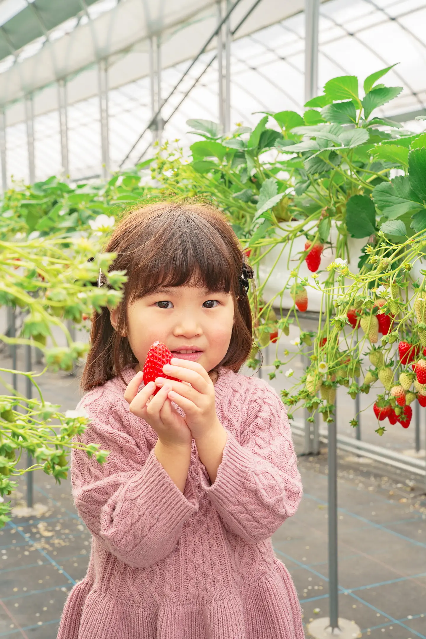 華やぎ2（モデル使用の写真のため使用OK）.jpg