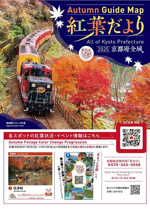 紅葉だより2025京都府全域