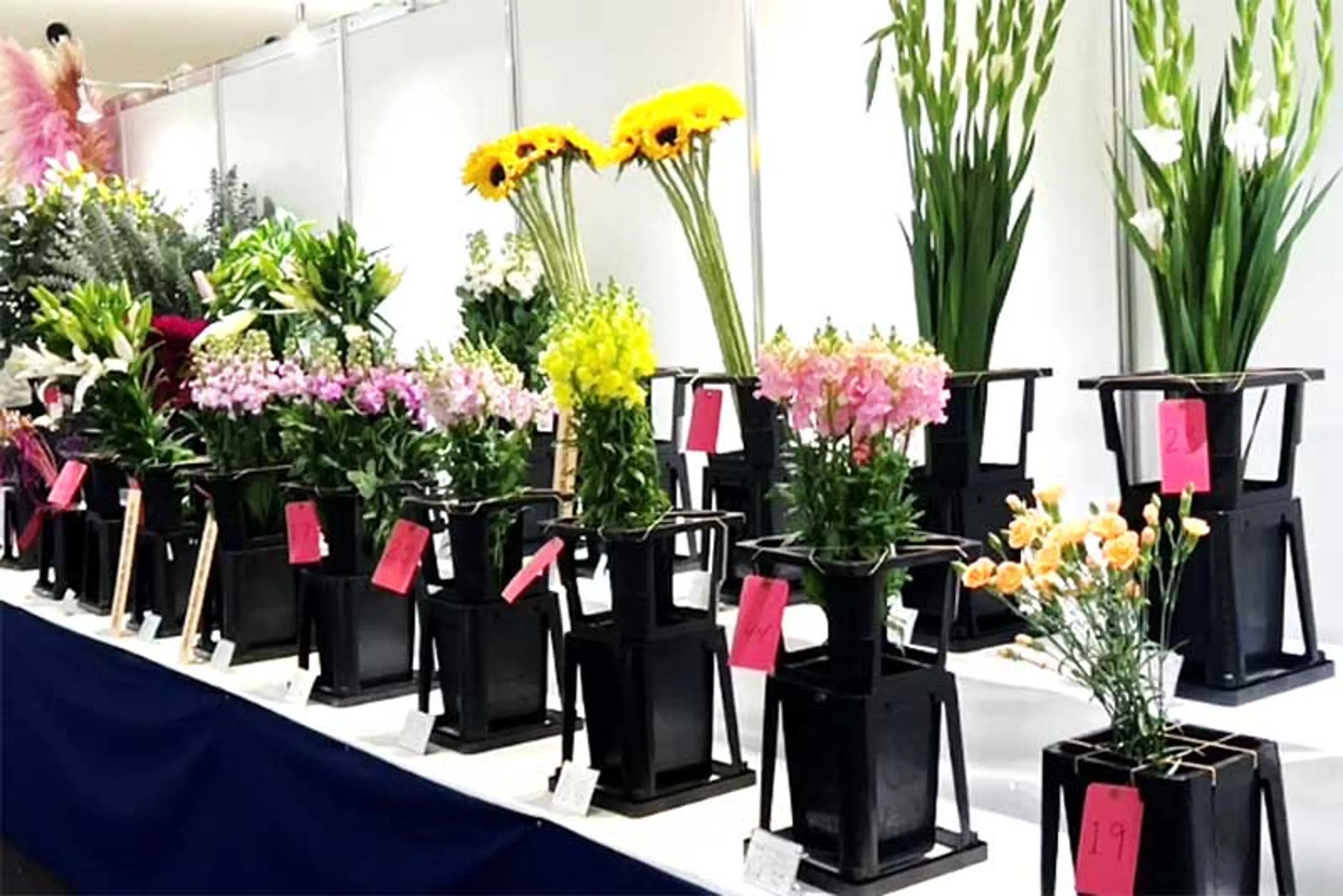 京都府農林水産フェスティバル2025