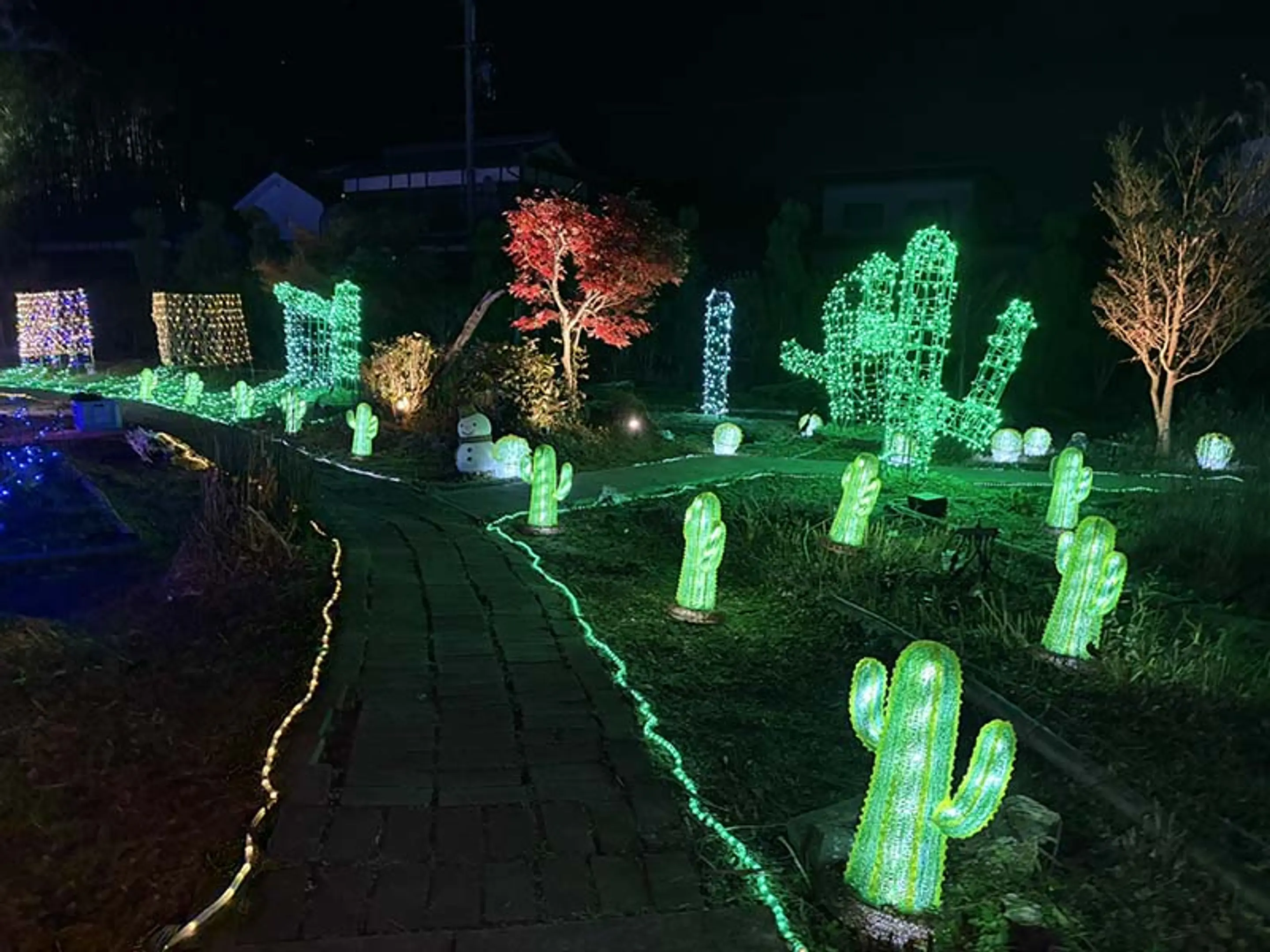 京都丹波KAMEOKA夢ナリエ