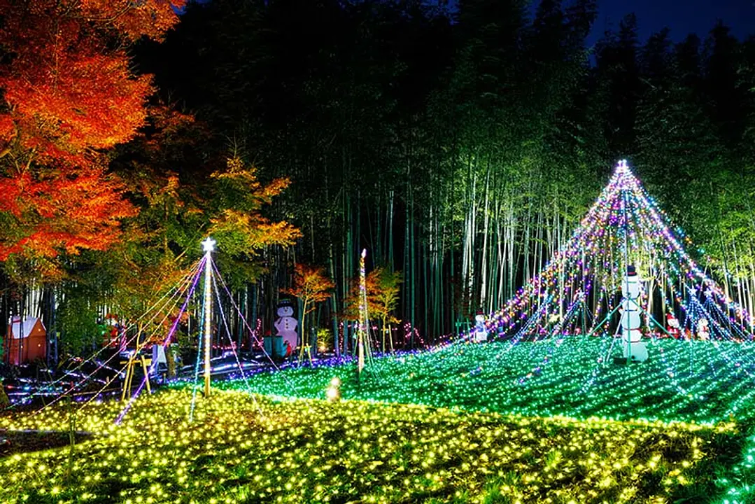 京都丹波KAMEOKA夢ナリエ