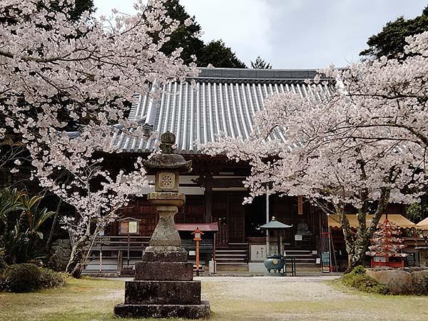 海住山寺