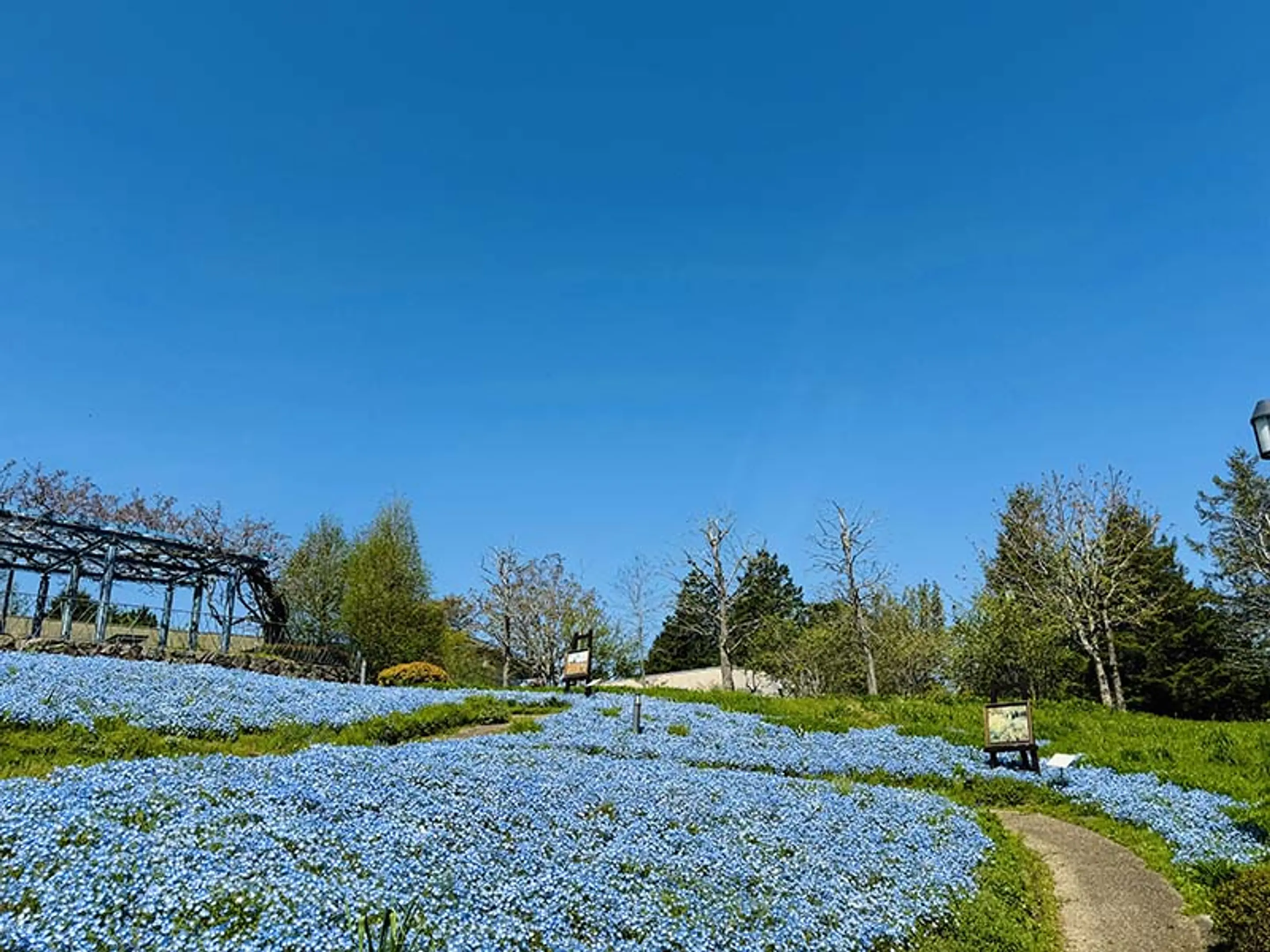 ガーデンミュージアム比叡