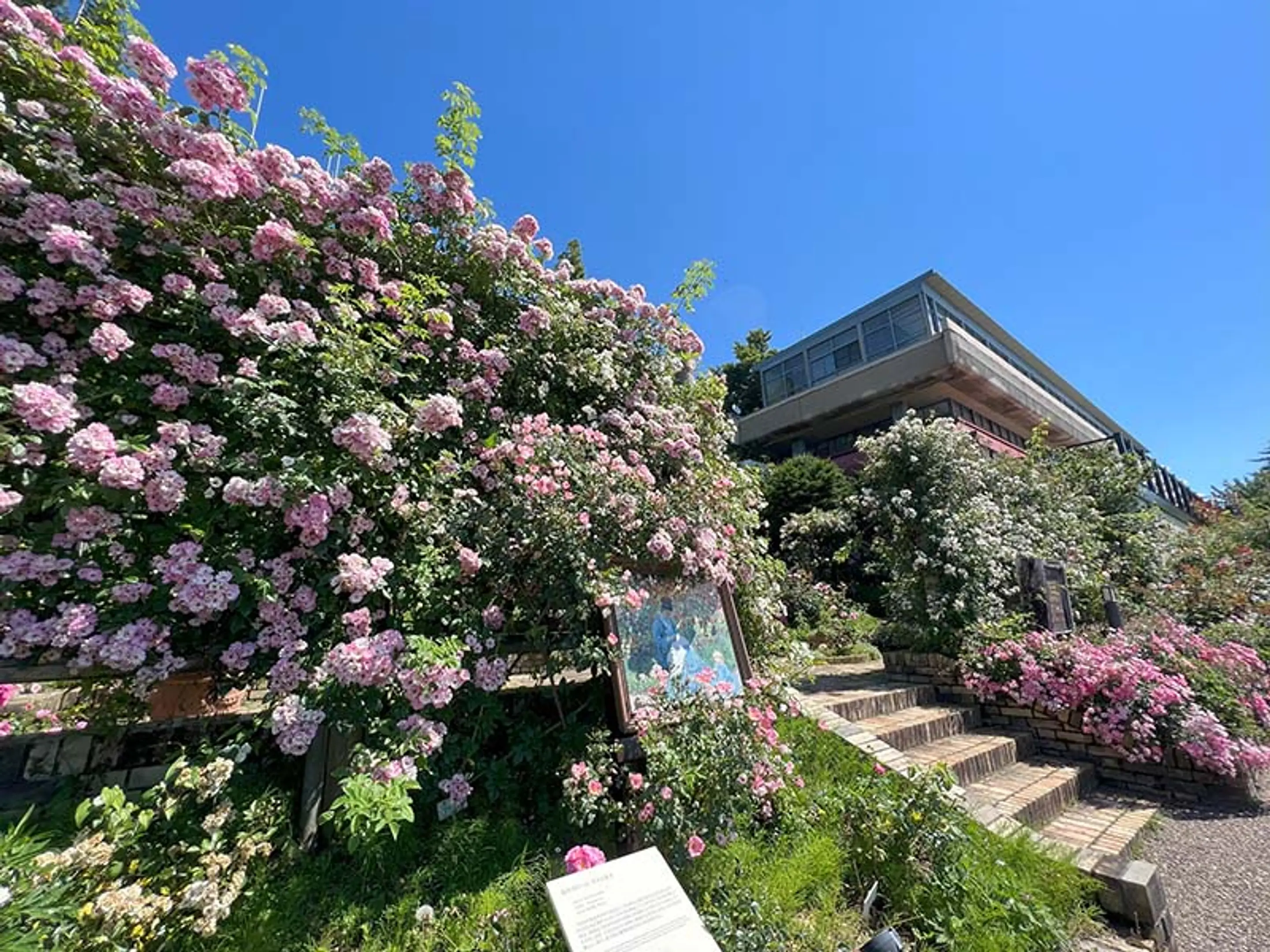 ガーデンミュージアム比叡