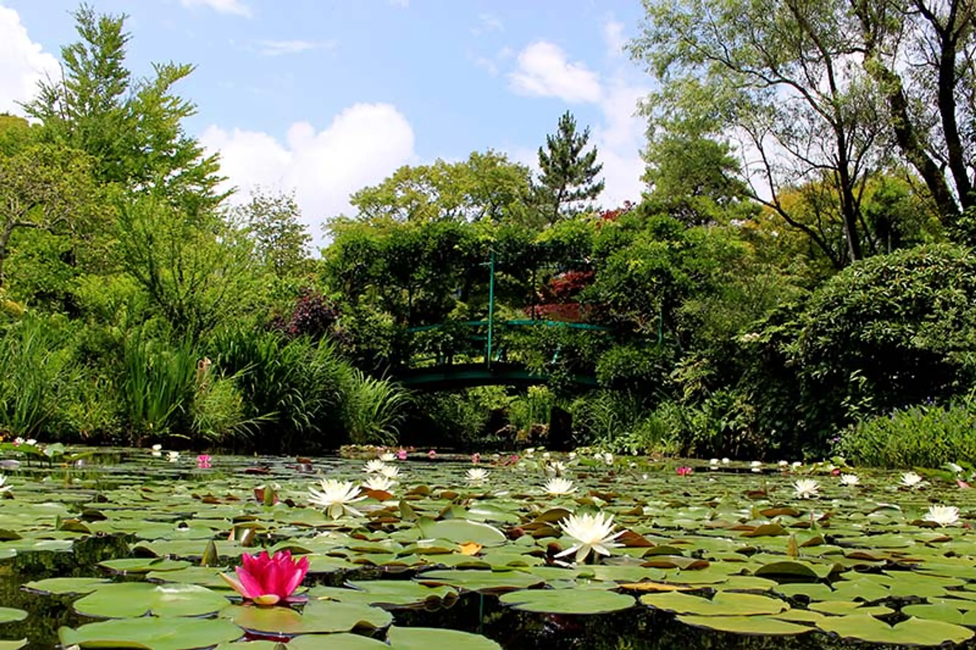 ガーデンミュージアム比叡