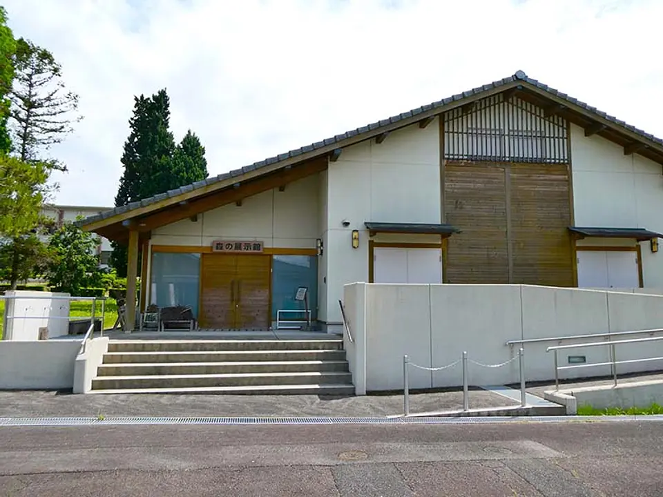 森林総合研究所関西支所　森の展示館