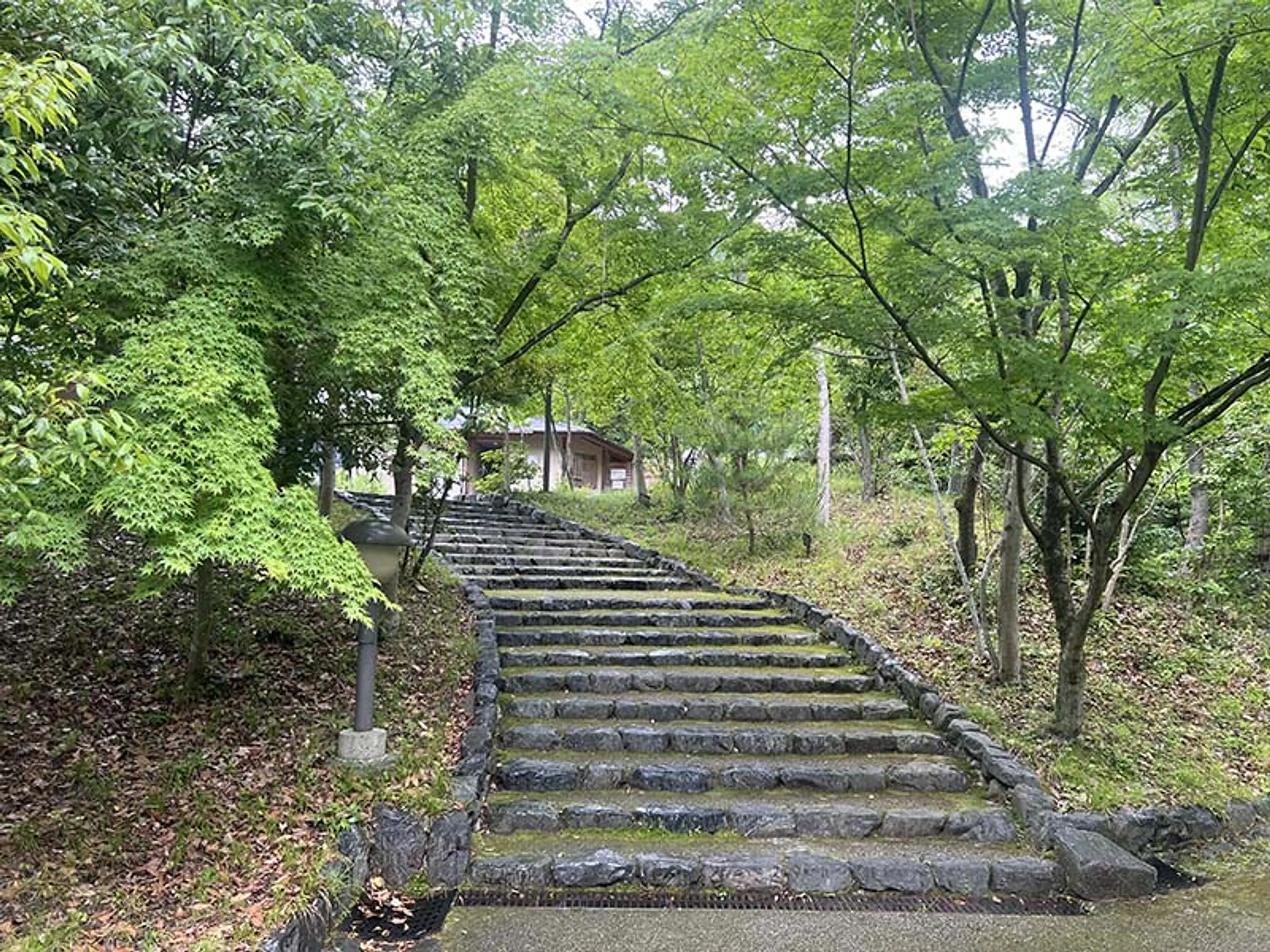 桂坂野鳥遊園