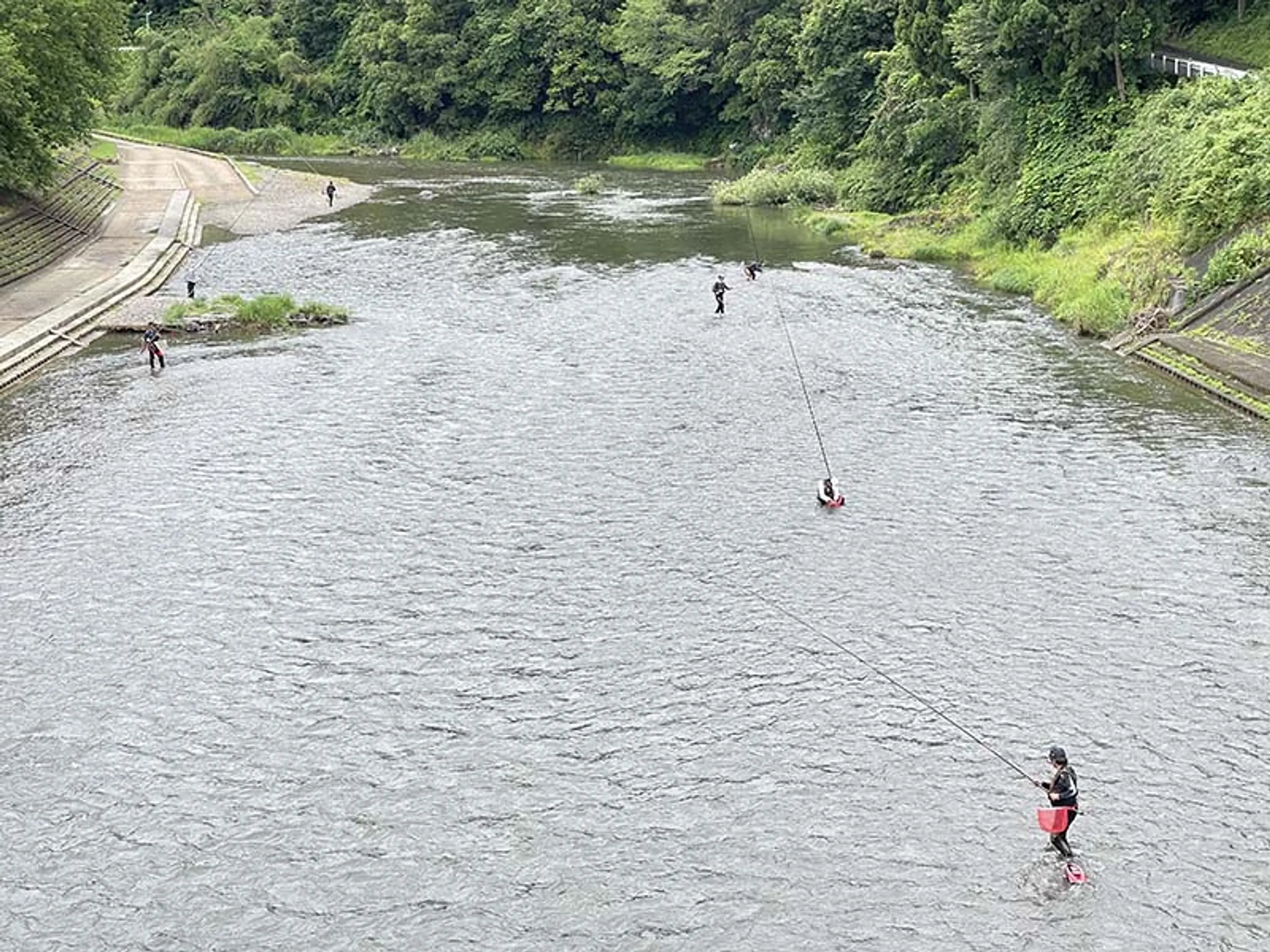 上桂川の魚釣り