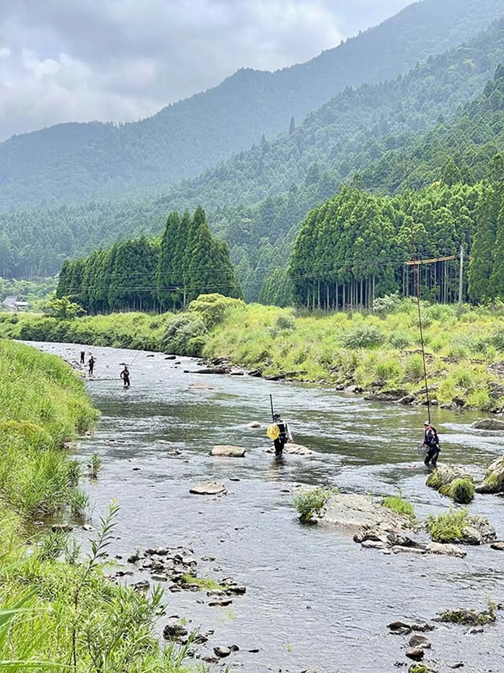 上桂川の魚釣り