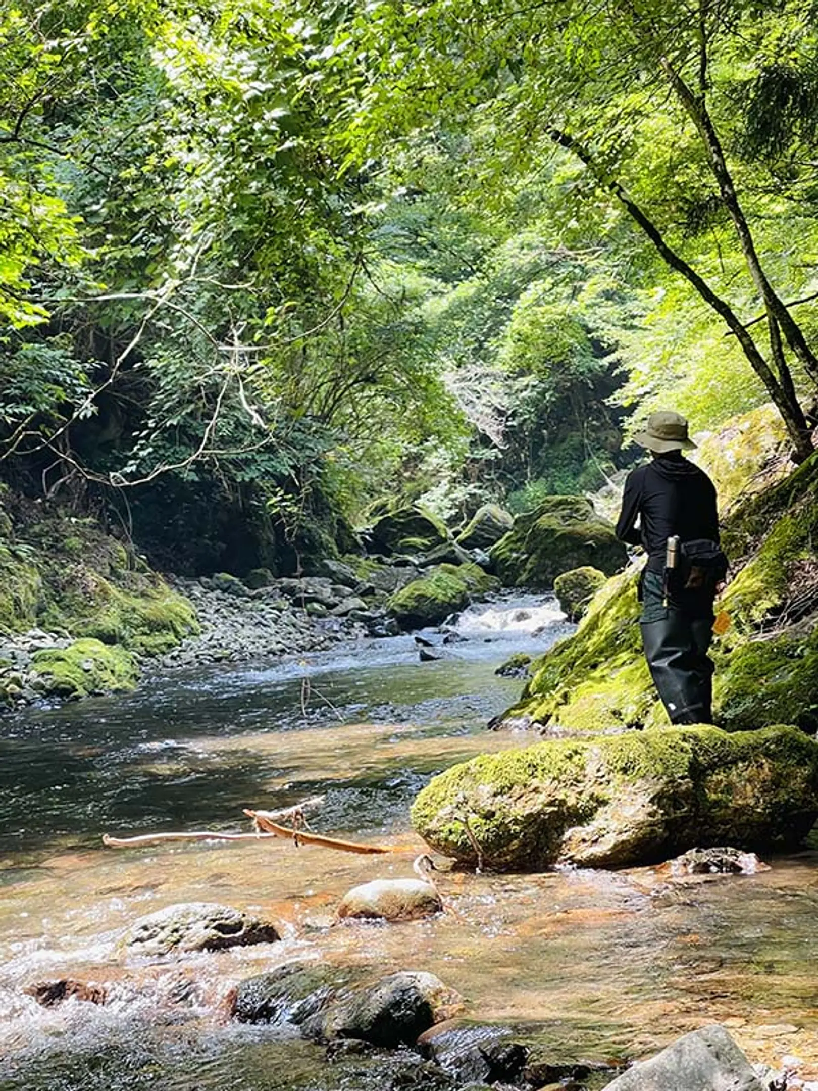 上桂川の魚釣り