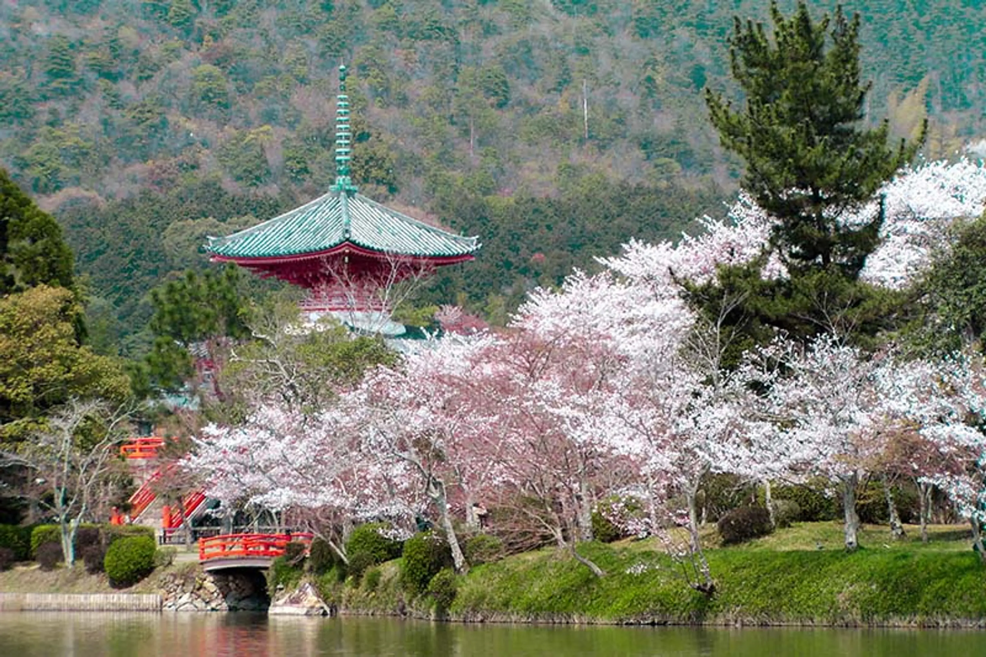 旧嵯峨御所 大本山大覚寺