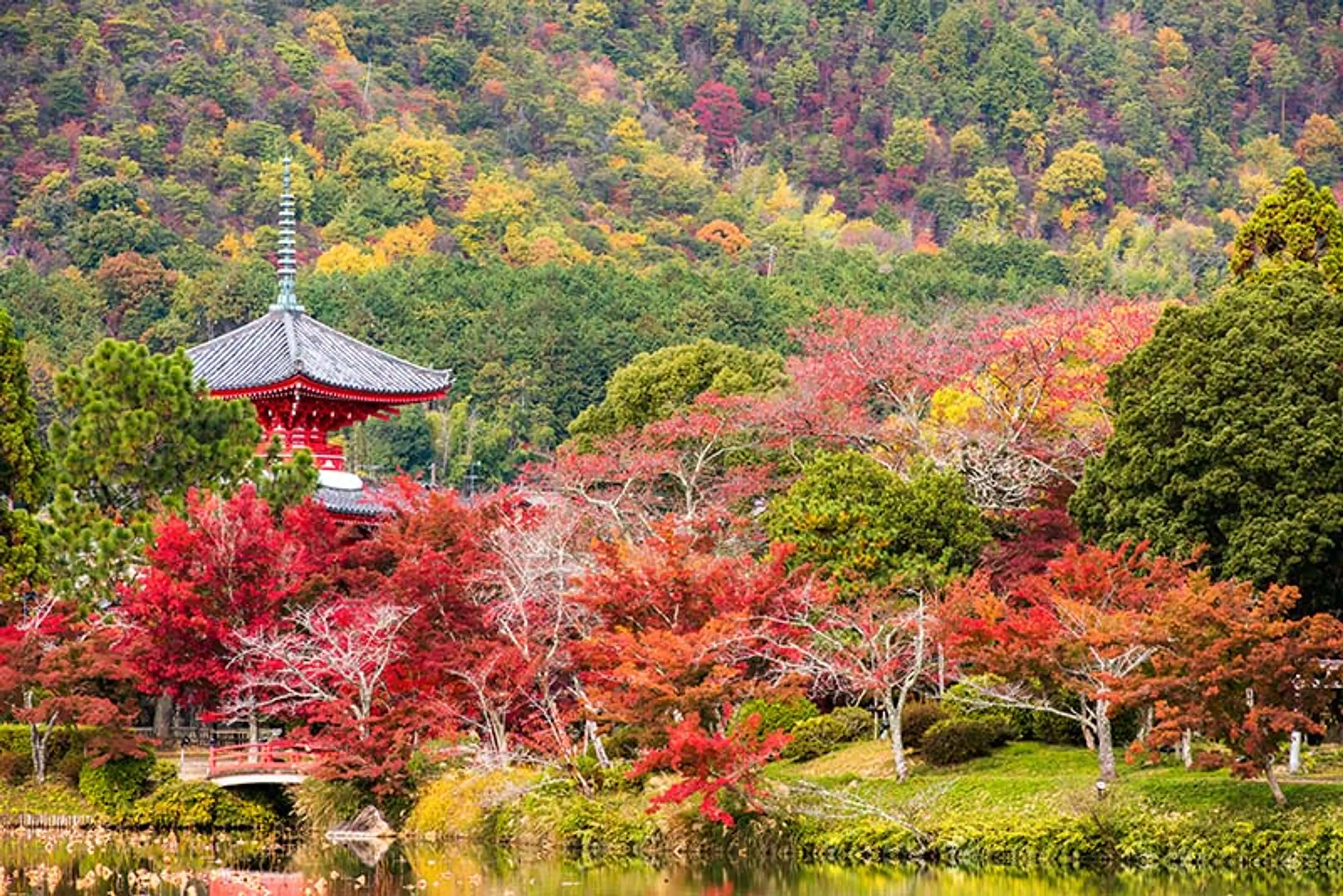 旧嵯峨御所 大本山大覚寺