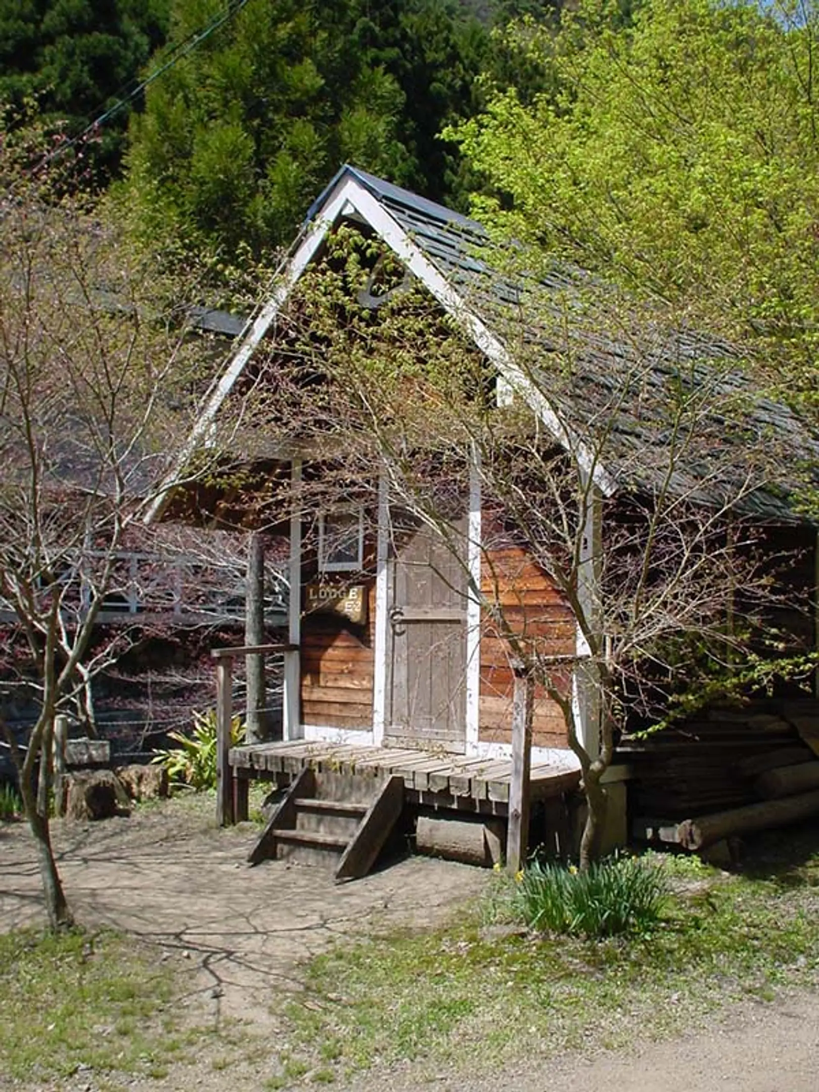 大森リゾートキャンプ場