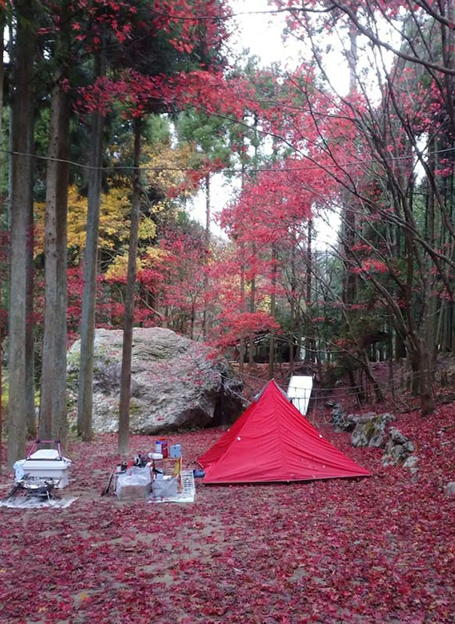 大森リゾートキャンプ場