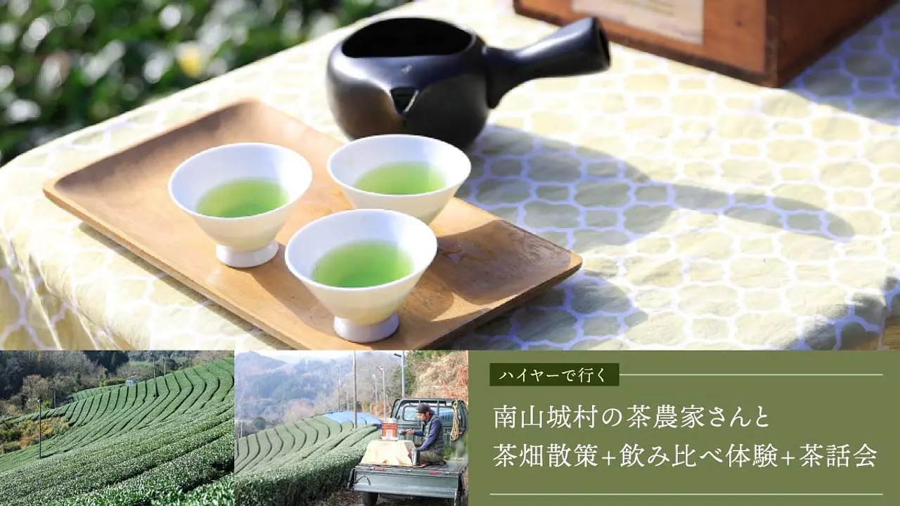 【ハイヤーで行く】南山城村の茶農家さんと茶畑散策+飲み比べ体験+茶話会