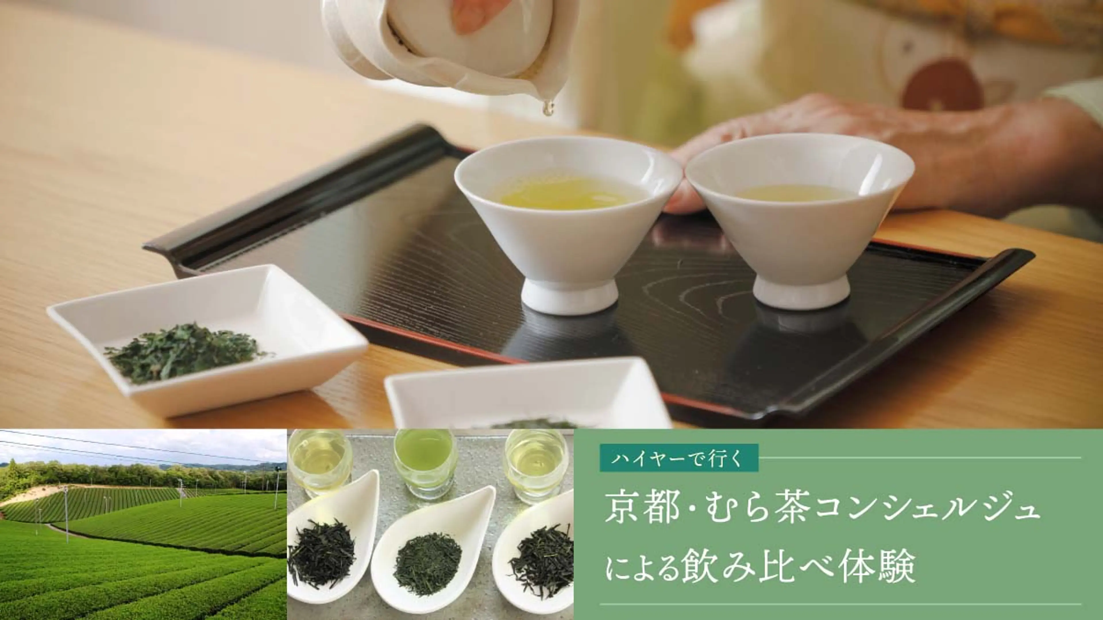 【ハイヤーで行く】南山城村の茶農家さんと茶畑散策+飲み比べ体験+茶話会
