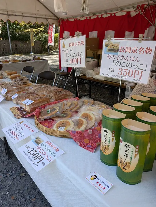 1536 PXL_20250412_041356329.jpg