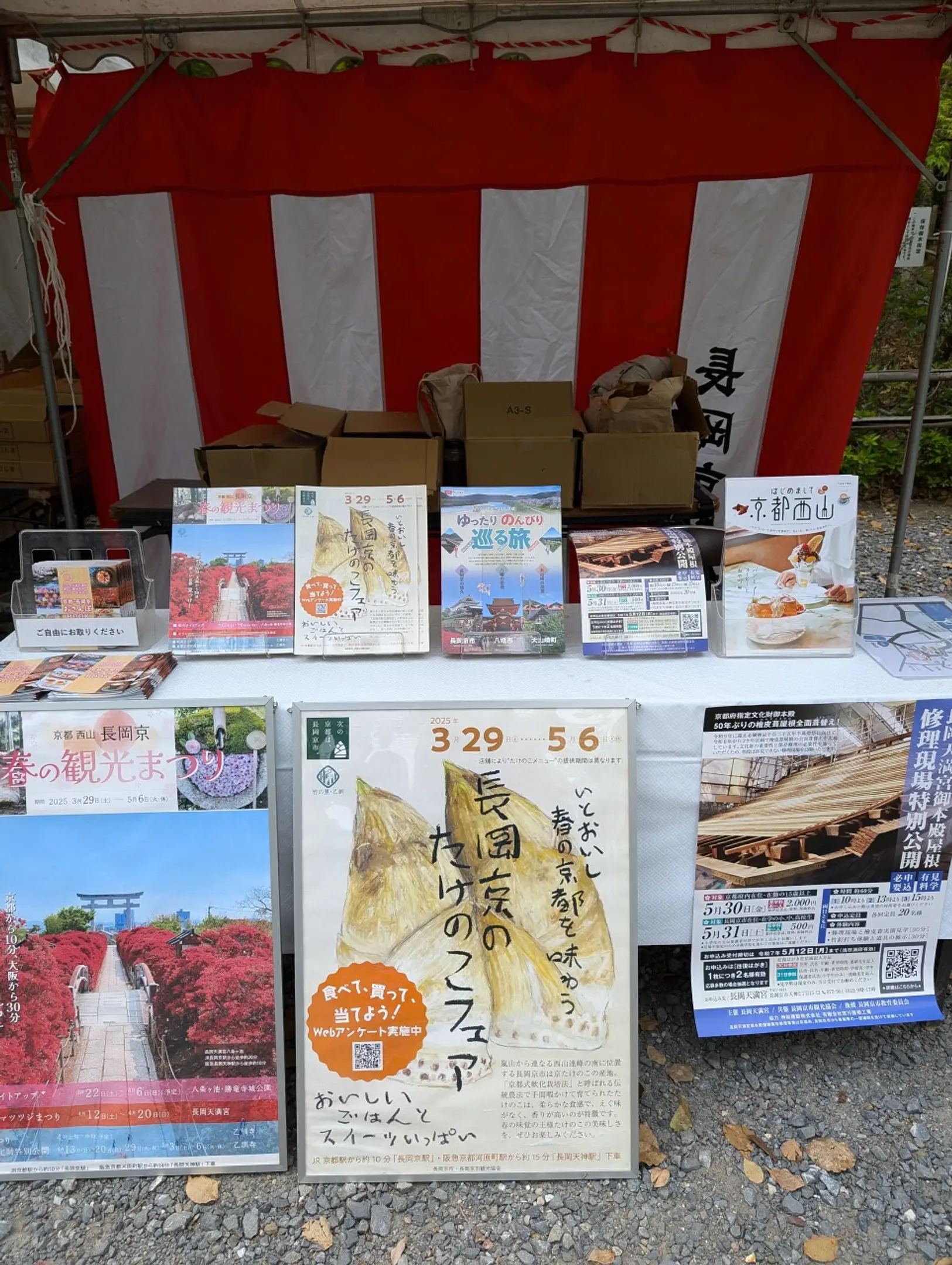 1536 PXL_20250420_021255366.jpg