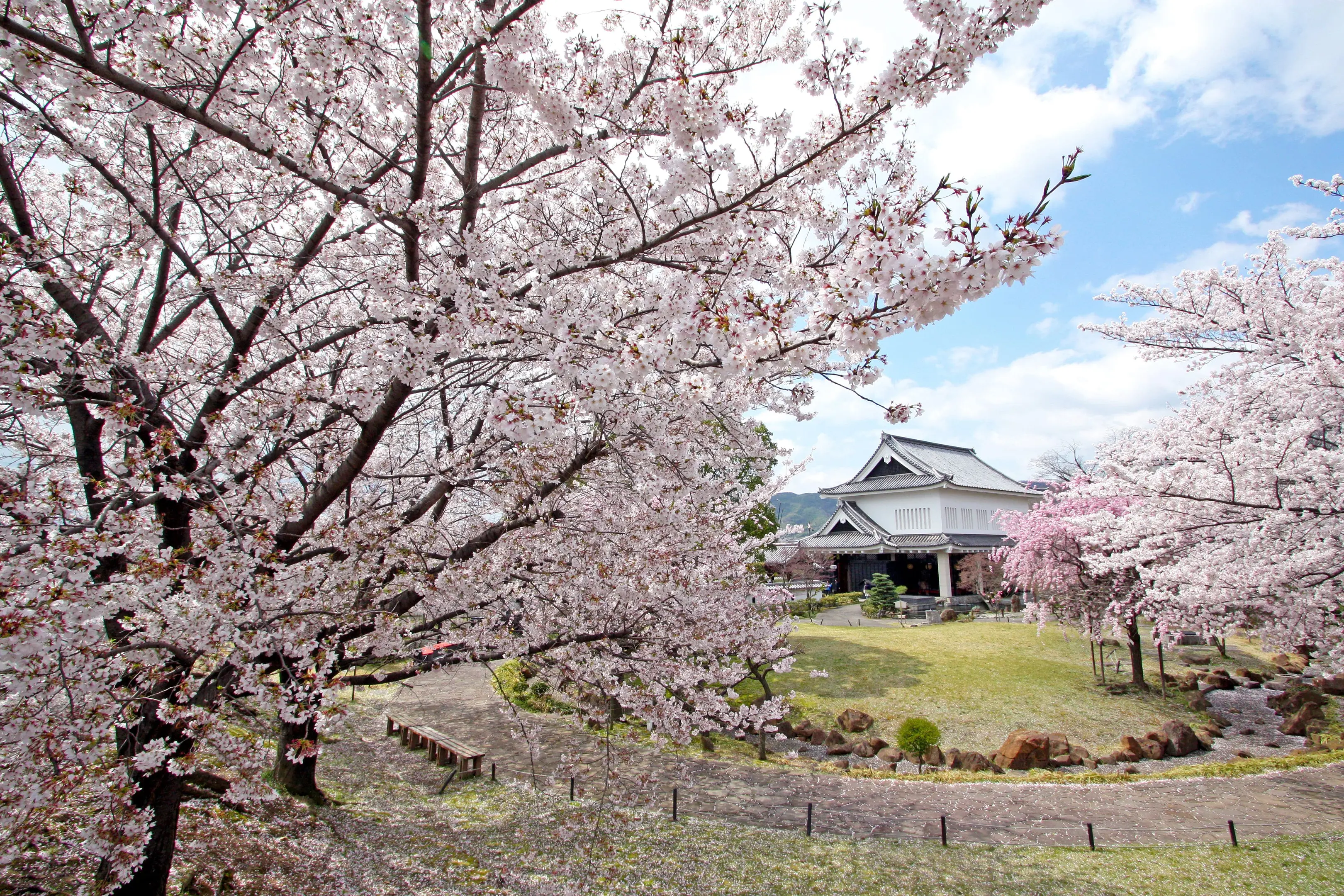 243 勝竜寺城003☆補正.jpg
