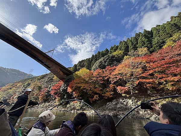 保津川の流域には美しい紅葉が目白押し