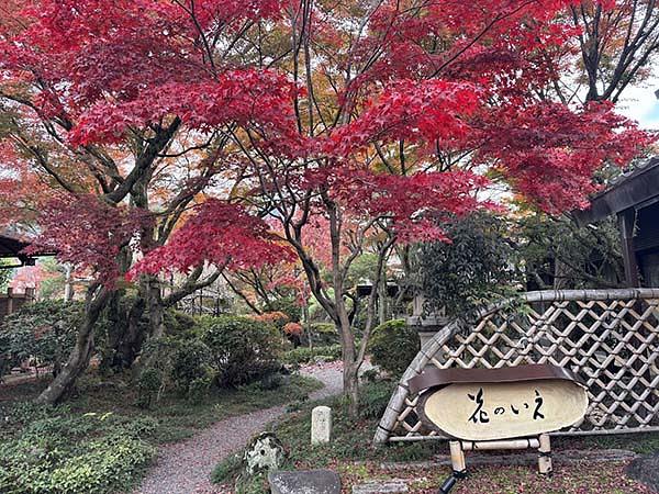 紅葉も映える素晴らしい庭園もあり