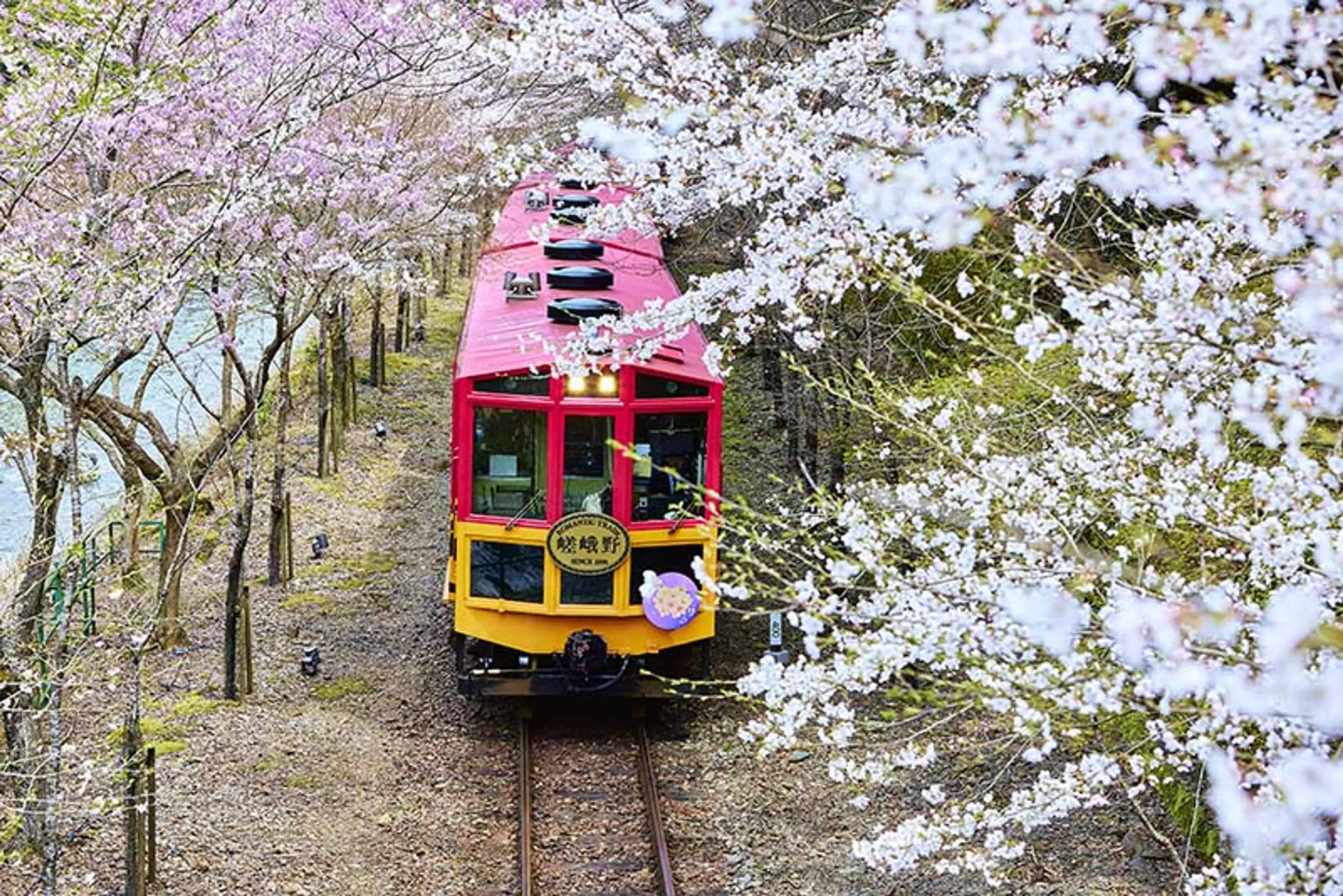嵯峨野トロッコ列車 | スポット一覧 | 京都府観光連盟公式サイト