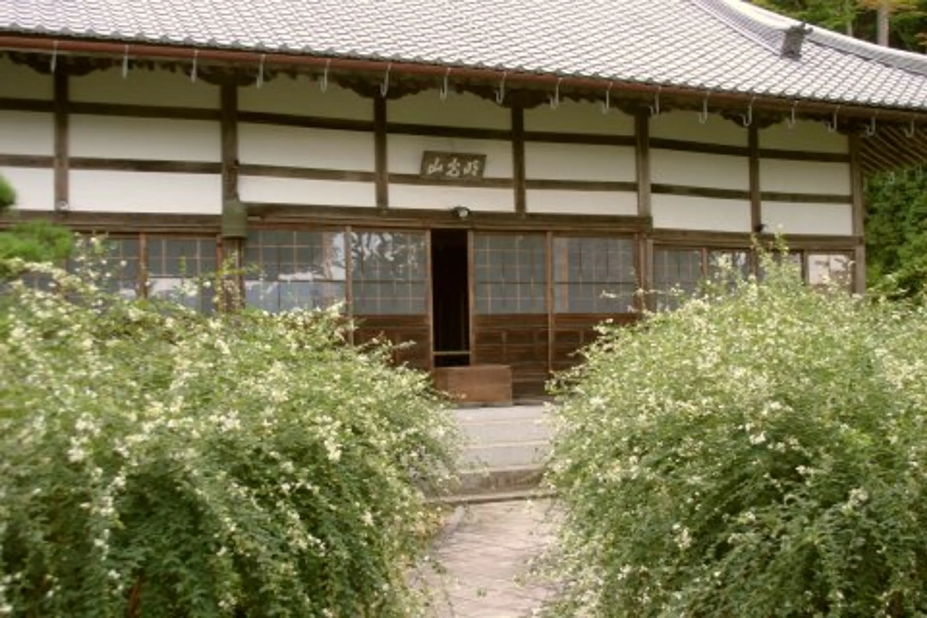 1198.jpg
