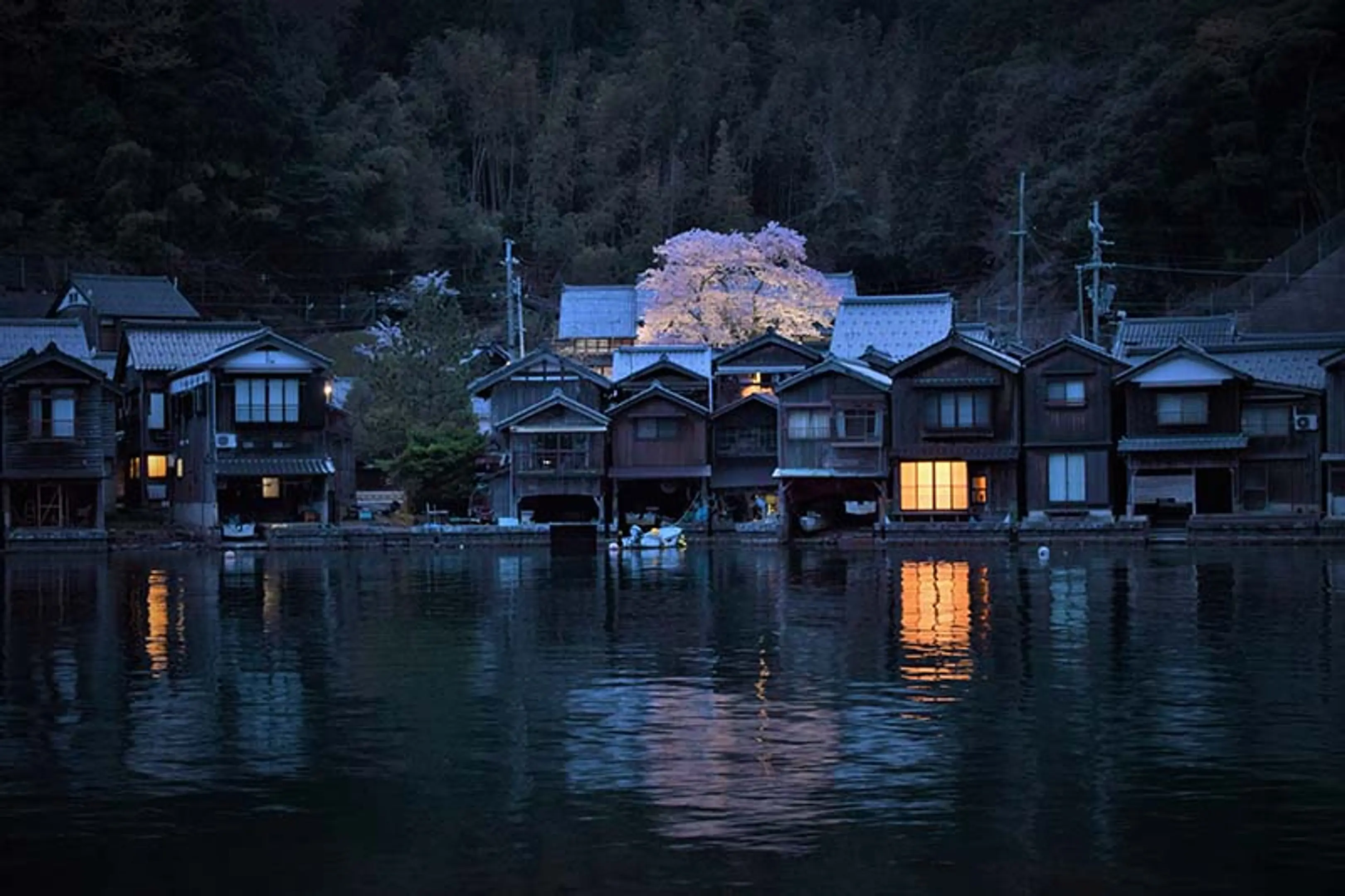 【海蔵寺】桜