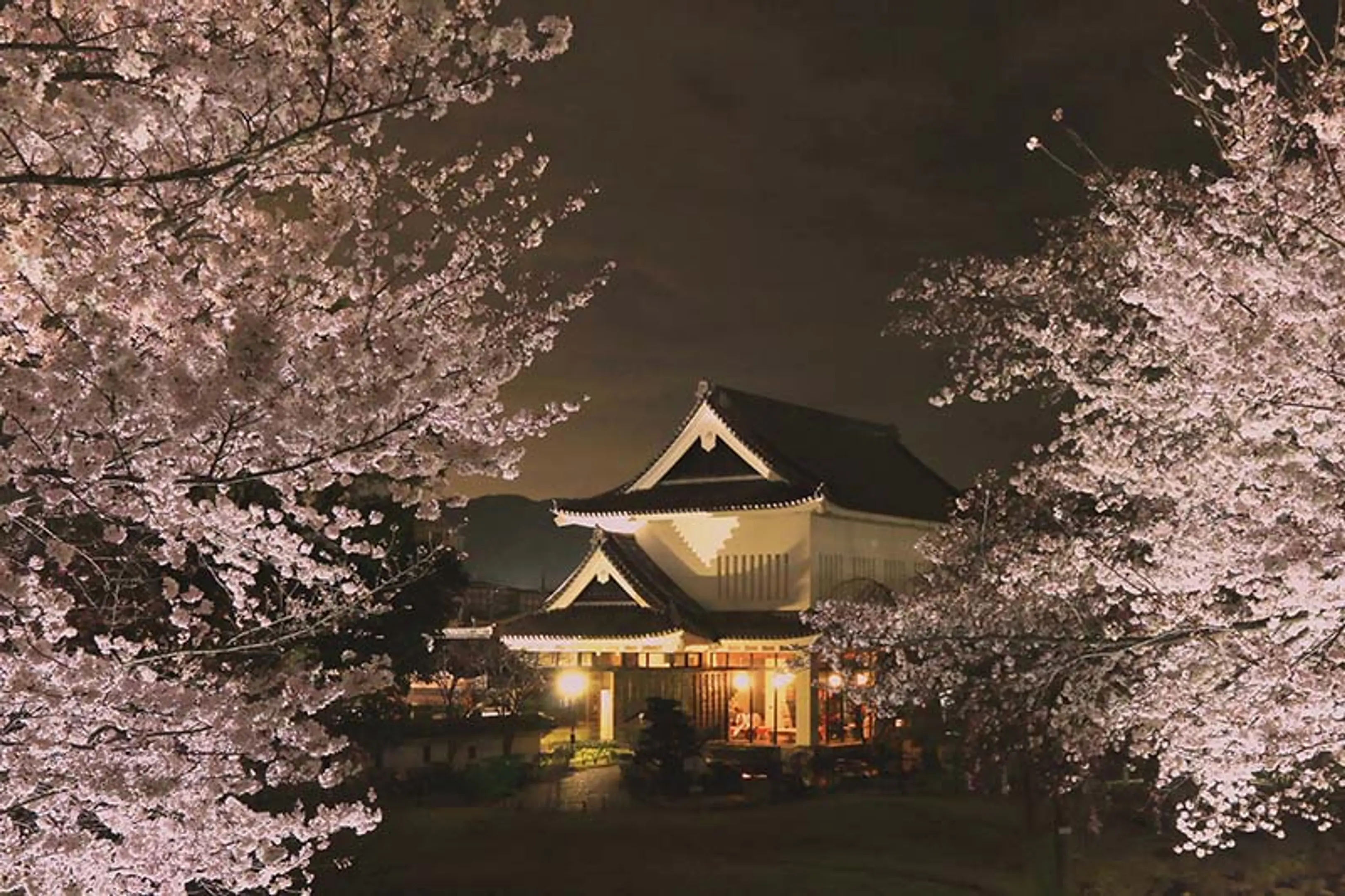 勝竜寺城公園ライトアップ