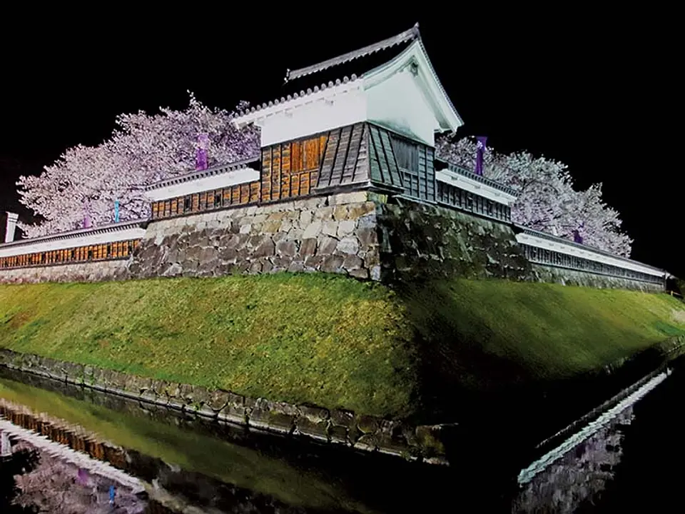 勝竜寺城公園ライトアップ