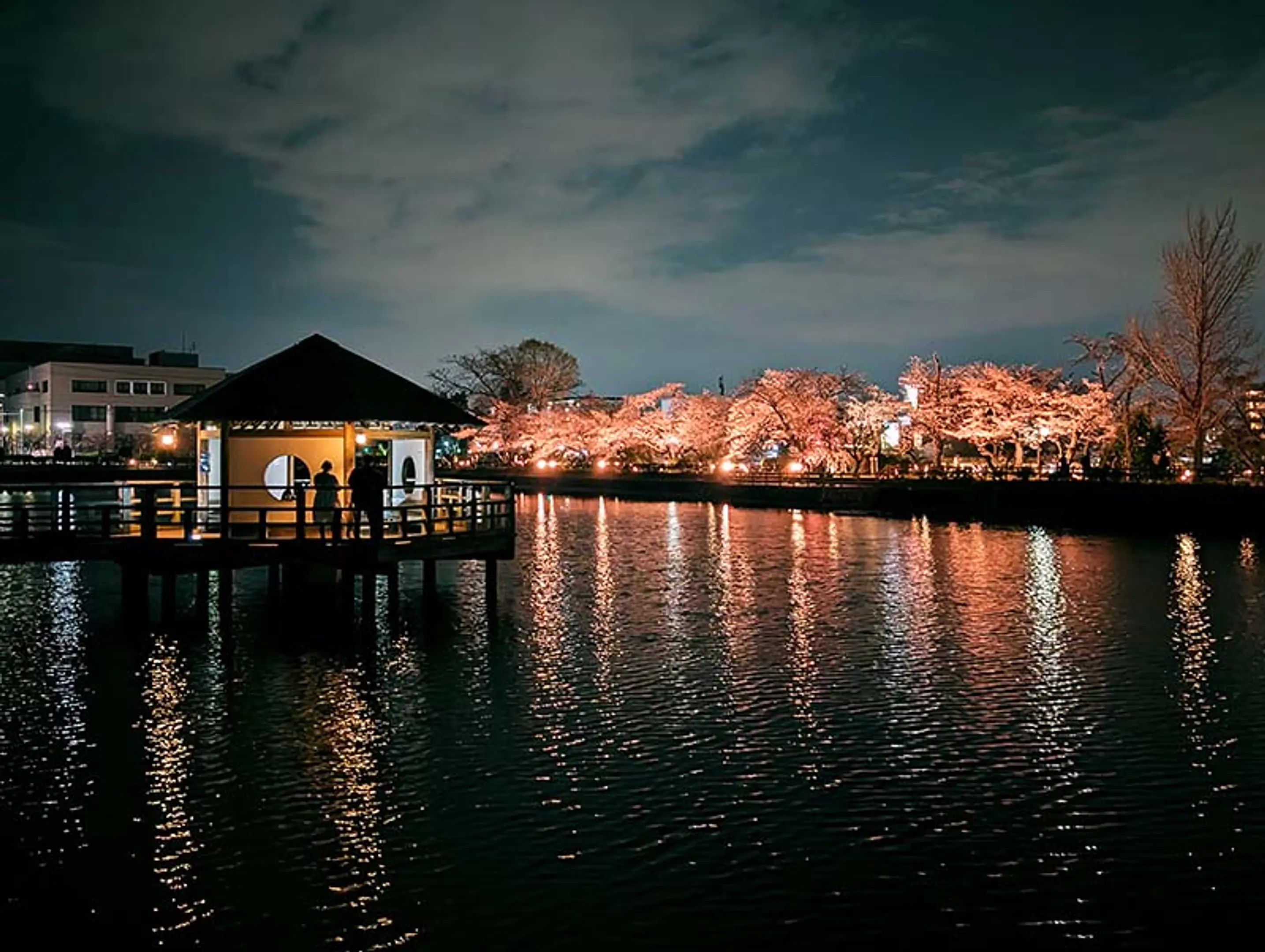 長岡京春の観光まつり～八条ヶ池　桜ライトアップ ～