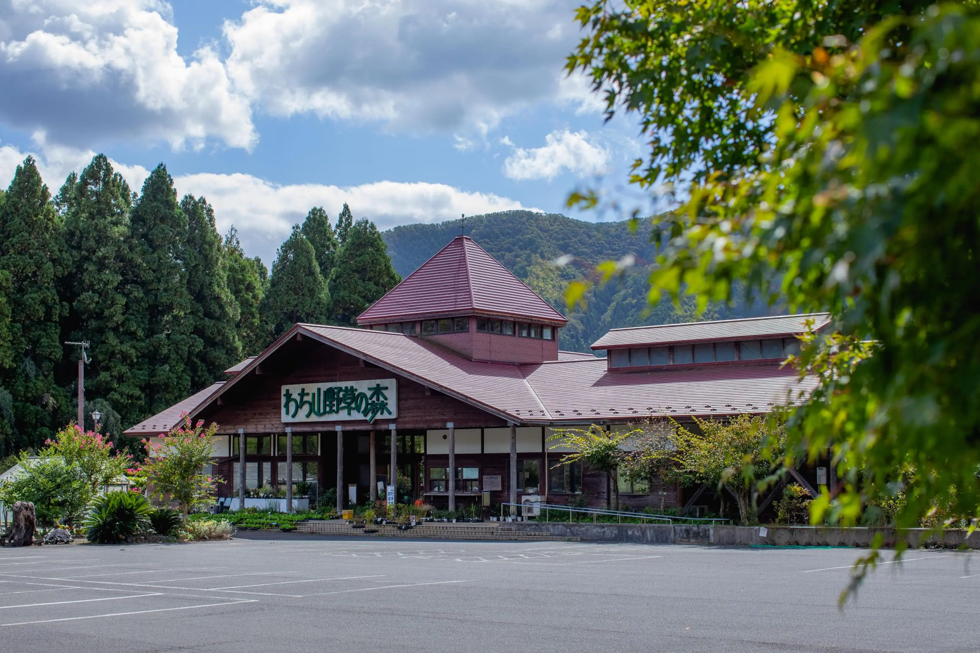 3879 わち山野草の森.jpg