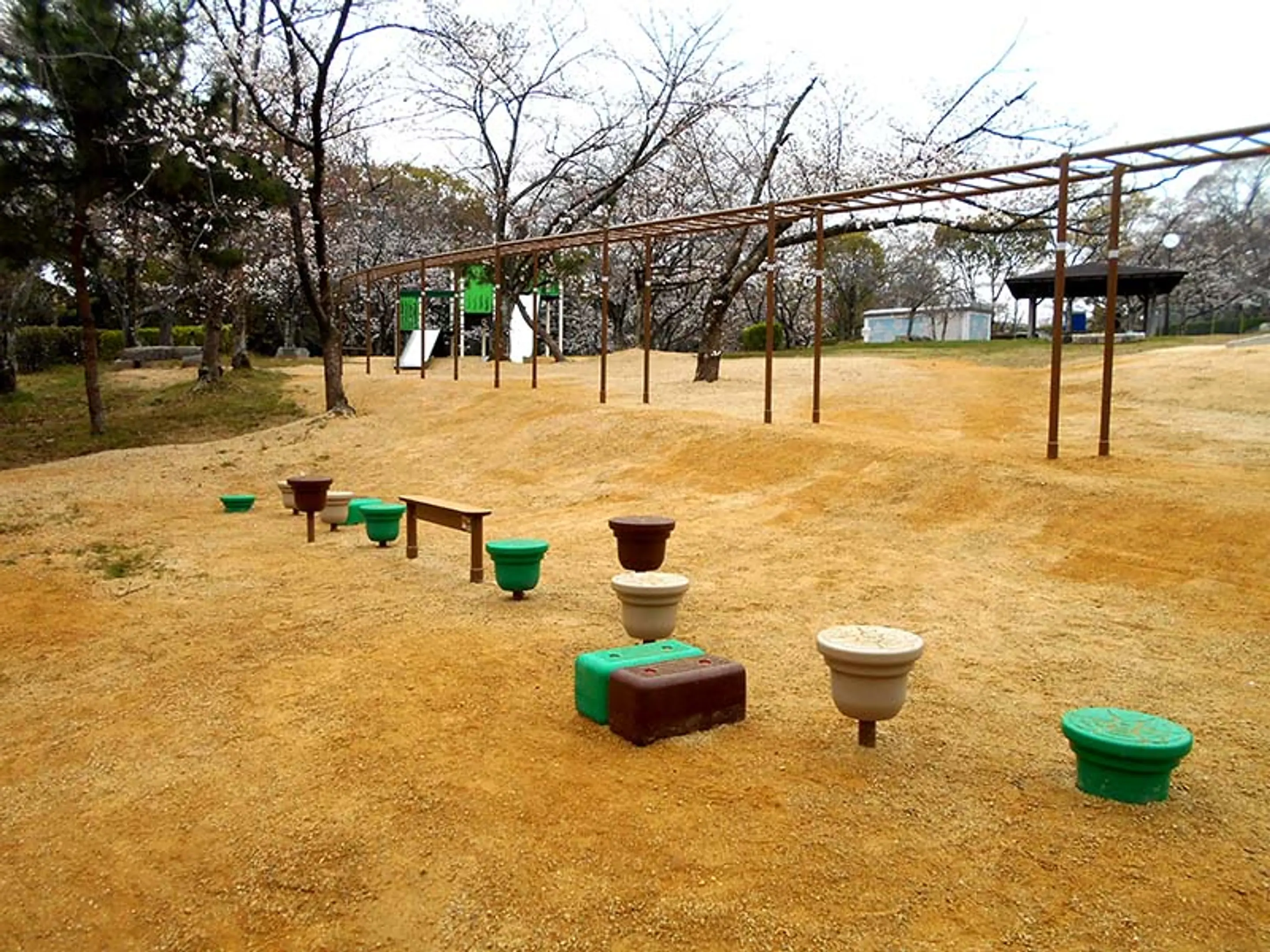 9763 さくら近隣公園（モンキーチャレンジ）.JPG