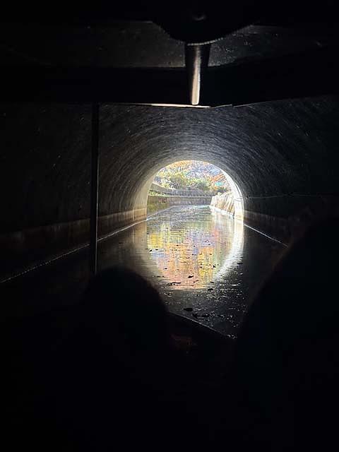 トンネルの出口が近づくと水面に景色が映り込み、絵画的な光景に。